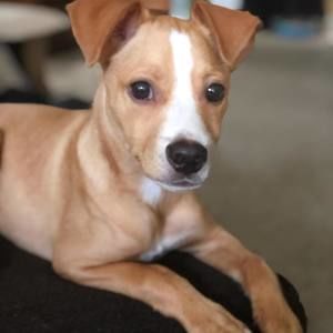 Meet your Posher, Tina